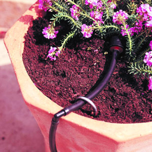 macro image of a drip irrigation nozzle in a terra cotta planter