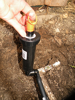 a tech is replacing the broken sprinkler pop-up head