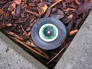 a pop-up head installed by our Aventura irrigation installation team