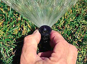 irrigation specialist adjusts microirrigation pop up head